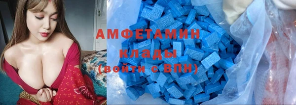 ГАЛЛЮЦИНОГЕННЫЕ ГРИБЫ Корсаков