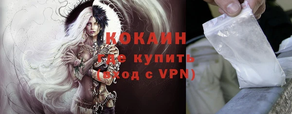 индика Костерёво