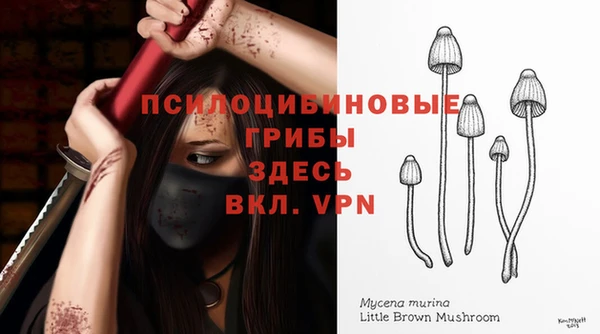 ГАЛЛЮЦИНОГЕННЫЕ ГРИБЫ Корсаков
