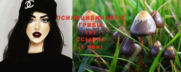 ГАЛЛЮЦИНОГЕННЫЕ ГРИБЫ Корсаков