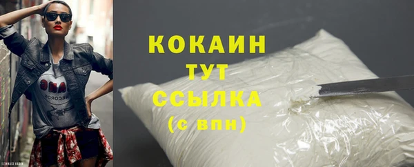ГАЛЛЮЦИНОГЕННЫЕ ГРИБЫ Корсаков