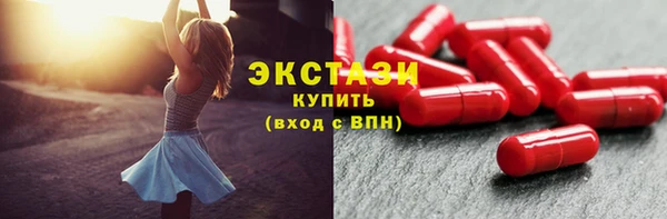 индика Костерёво