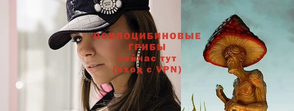 МДПВ Коряжма