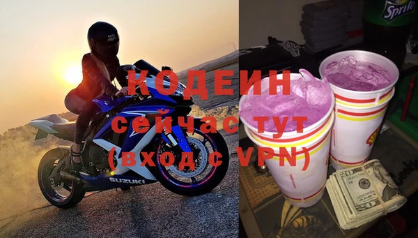 индика Костерёво