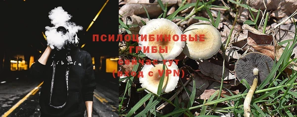 ГАЛЛЮЦИНОГЕННЫЕ ГРИБЫ Корсаков