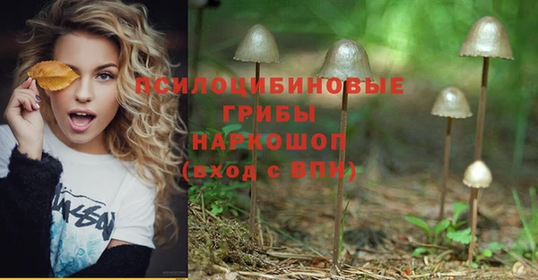 МДПВ Коряжма