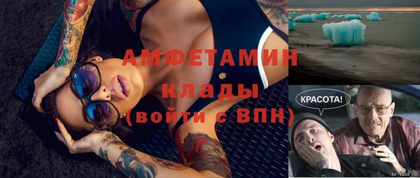 индика Костерёво