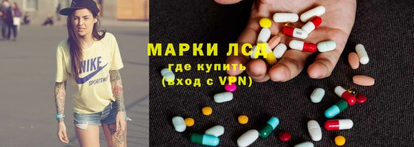 индика Костерёво