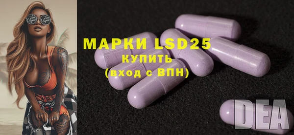 ГАЛЛЮЦИНОГЕННЫЕ ГРИБЫ Корсаков