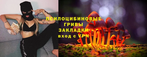 индика Костерёво